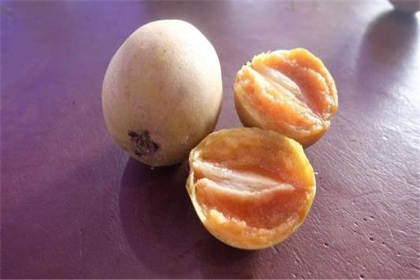 人心果能泡水喝嗎 人心果泡水喝好嗎 人心果能泡水喝嗎 人心果泡水喝好嗎