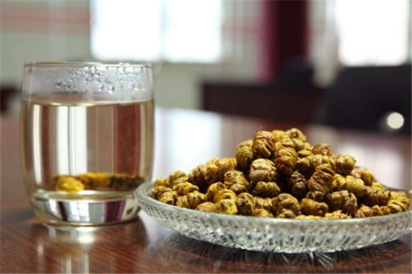 鐵皮石斛能治三高嗎 鐵皮石斛有哪些功效 鐵皮石斛能治三高嗎 鐵皮石斛有哪些功效