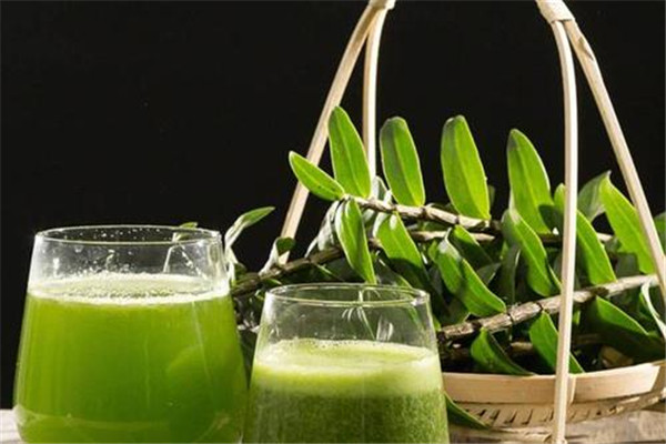 鐵皮石斛一克多少錢 鐵皮石斛價格是多少 鐵皮石斛一克多少錢 鐵皮石斛價格是多少