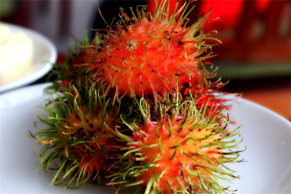 紅毛丹吃了會(huì)過(guò)敏嗎 吃紅毛丹過(guò)敏癥狀 紅毛丹吃了會(huì)過(guò)敏嗎 吃紅毛丹過(guò)敏癥狀