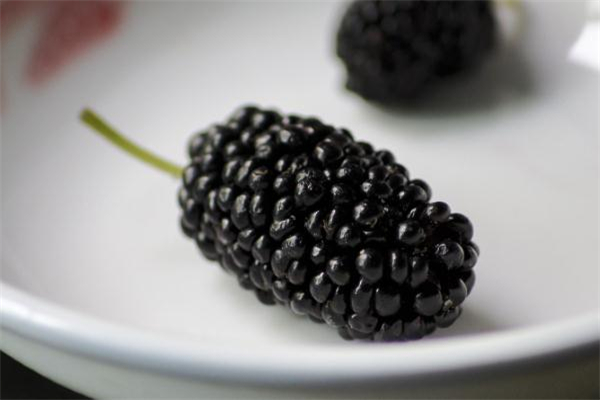 坐月子可以吃桑葚嗎 坐月子吃桑葚的好處 坐月子可以吃桑葚嗎 坐月子吃桑葚的好處