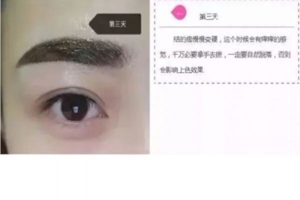 紋眉幾天會變細 紋眉七天的變化 紋眉幾天會變細 紋眉七天的變化