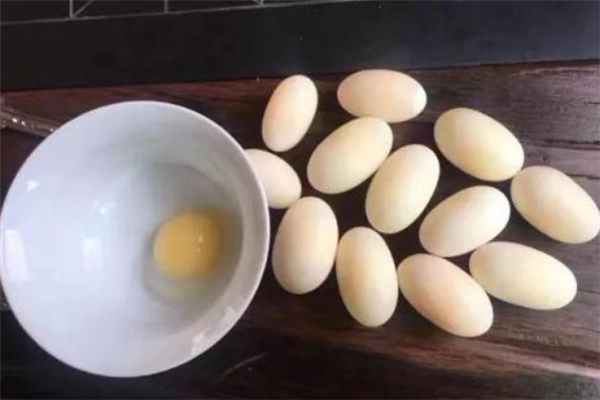 烏龜?shù)澳艹詥?烏龜?shù)霸趺闯? alt=