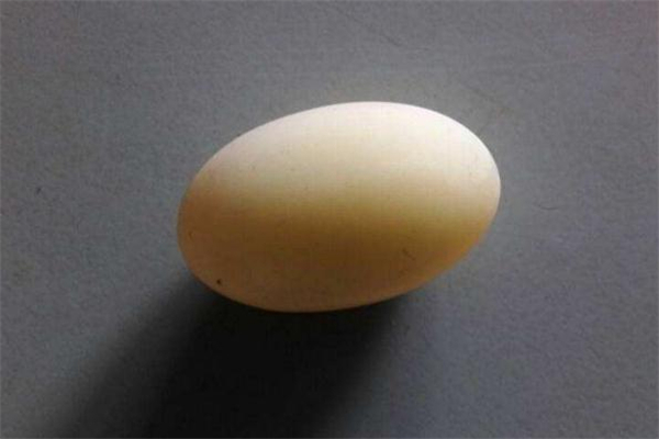 烏龜?shù)澳艹詥?烏龜?shù)霸趺闯? alt=