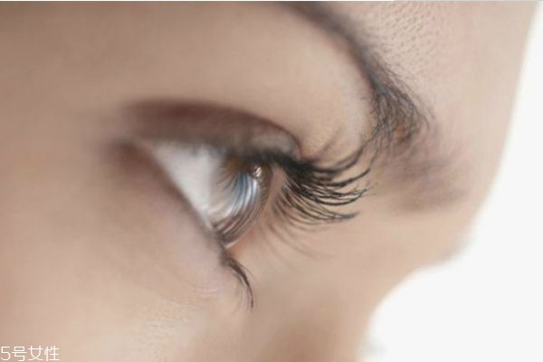 種植睫毛能管多久 種睫毛能維持多長(zhǎng)時(shí)間 種植睫毛能管多久 種睫毛能維持多長(zhǎng)時(shí)間