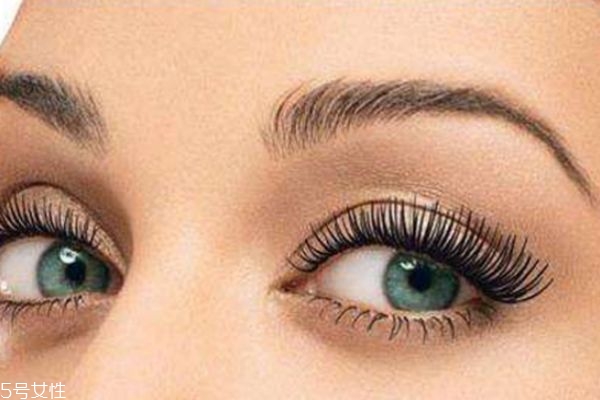 種植睫毛能管多久 種睫毛能維持多長(zhǎng)時(shí)間 種植睫毛能管多久 種睫毛能維持多長(zhǎng)時(shí)間