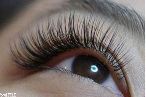 種植睫毛能管多久 種睫毛能維持多長(zhǎng)時(shí)間 種植睫毛能管多久 種睫毛能維持多長(zhǎng)時(shí)間