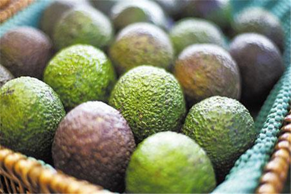 牛油果能蒸嗎 牛油果可以蒸熟吃嗎 牛油果能蒸嗎 牛油果可以蒸熟吃嗎