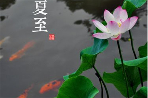 夏至應(yīng)該吃什么 夏至節(jié)氣吃什么對(duì)身體好 夏至應(yīng)該吃什么 夏至節(jié)氣吃什么對(duì)身體好