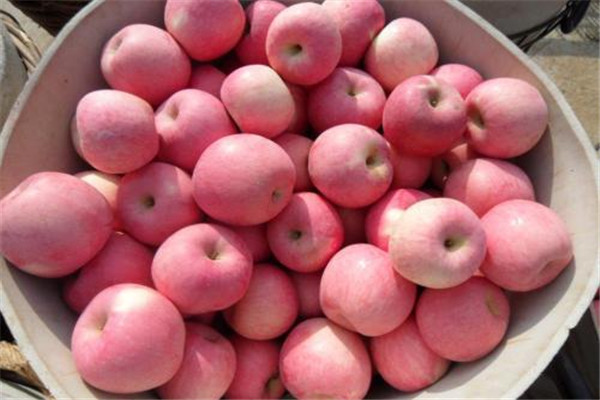 蘋果咬開后里面有褐色是什么 蘋果一般人都能吃 蘋果咬開后里面有褐色是什么 蘋果一般人都能吃