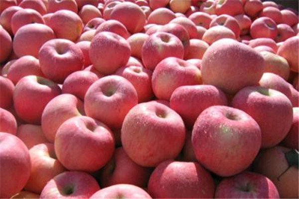 蘋果咬開后里面有褐色是什么 蘋果一般人都能吃 蘋果咬開后里面有褐色是什么 蘋果一般人都能吃