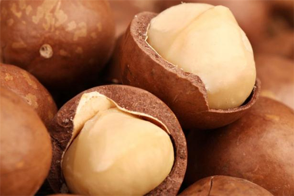 夏威夷果發(fā)霉什么樣子 夏威夷果發(fā)霉了可以吃嗎 夏威夷果發(fā)霉什么樣子 夏威夷果發(fā)霉了可以吃嗎