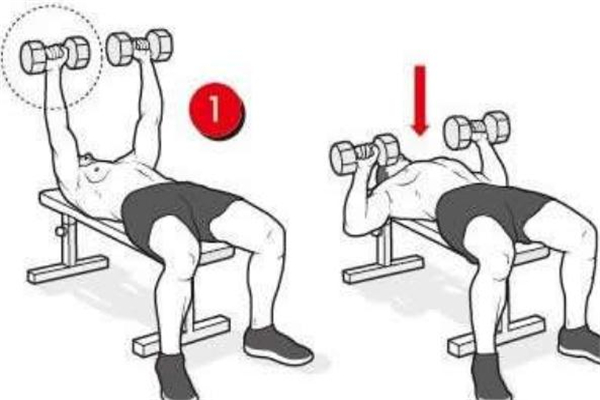 啞鈴平板臥推標(biāo)準(zhǔn)動(dòng)作 啞鈴平板臥推動(dòng)作要領(lǐng) 啞鈴平板臥推標(biāo)準(zhǔn)動(dòng)作 啞鈴平板臥推動(dòng)作要領(lǐng)