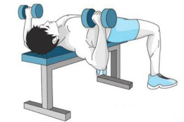 啞鈴平板臥推標(biāo)準(zhǔn)動(dòng)作 啞鈴平板臥推動(dòng)作要領(lǐng) 啞鈴平板臥推標(biāo)準(zhǔn)動(dòng)作 啞鈴平板臥推動(dòng)作要領(lǐng)