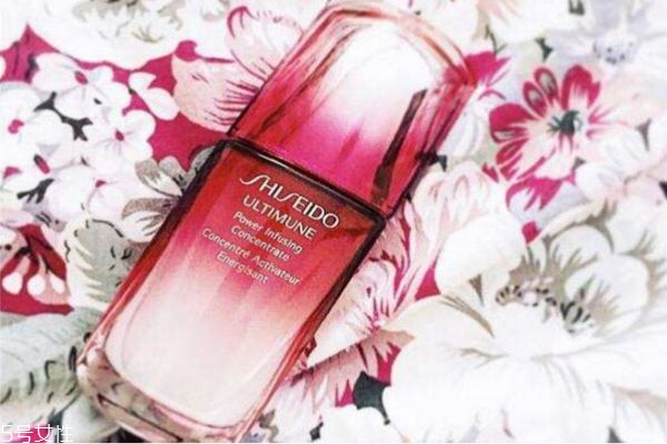 紅腰子是肌底還是精華 紅腰子精華用在哪一步 紅腰子是肌底還是精華 紅腰子精華用在哪一步