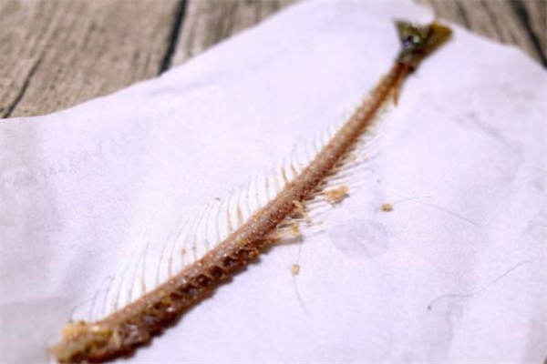 魚骨頭是什么垃圾 魚刺是干垃圾還是濕垃圾 魚骨頭是什么垃圾 魚刺是干垃圾還是濕垃圾