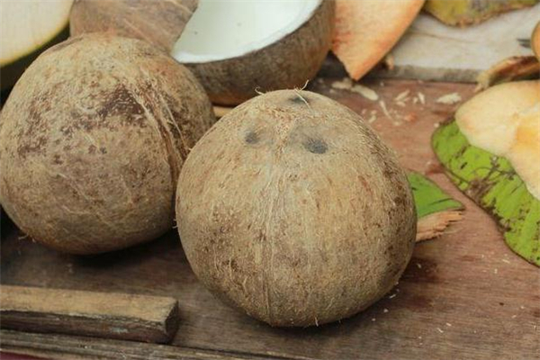 椰子殼是什么垃圾 椰子殼是干垃圾還是濕垃圾 椰子殼是什么垃圾 椰子殼是干垃圾還是濕垃圾