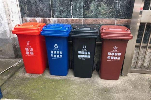 椰子殼是什么垃圾 椰子殼是干垃圾還是濕垃圾 椰子殼是什么垃圾 椰子殼是干垃圾還是濕垃圾