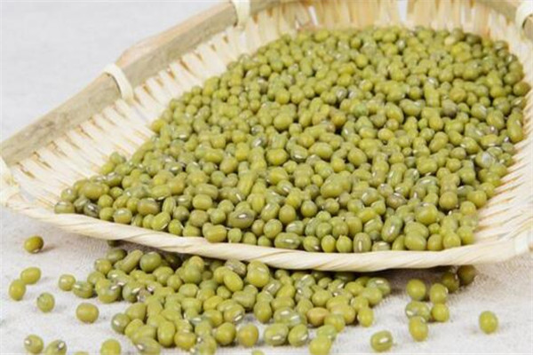 綠豆放在水里幾天能發(fā)芽 綠豆放水里會(huì)發(fā)芽嗎