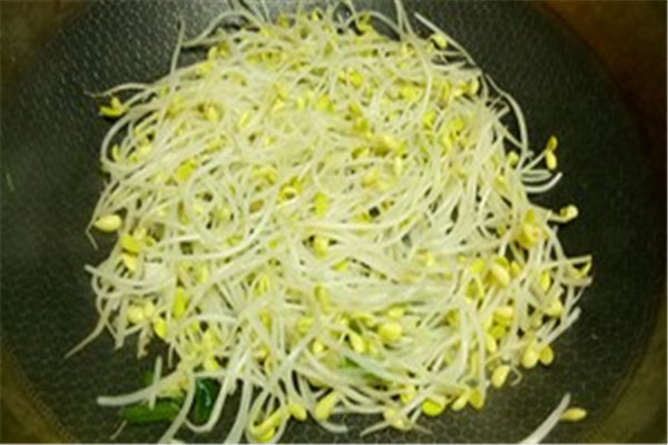 綠豆芽是堿性食物嗎 綠豆芽屬于什么食物 綠豆芽是堿性食物嗎 綠豆芽屬于什么食物