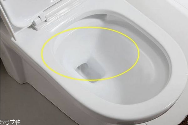 馬桶應該坐哪一層 馬桶的正確坐姿