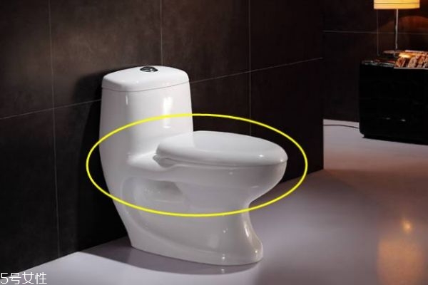 馬桶應該坐哪一層 馬桶的正確坐姿