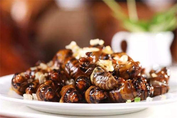 知了猴一次吃幾個最好 知了猴一次最多吃幾個 知了猴一次吃幾個最好 知了猴一次最多吃幾個