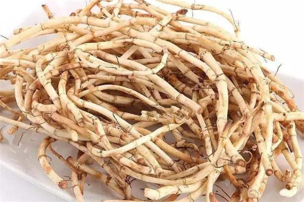 魚腥草和菊花能一起泡水喝嗎 魚腥草和菊花相克嗎 魚腥草和菊花能一起泡水喝嗎 魚腥草和菊花相克嗎