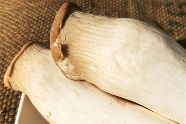 杏鮑菇需要去皮嗎 炒杏鮑菇要削皮嗎 杏鮑菇需要去皮嗎 炒杏鮑菇要削皮嗎