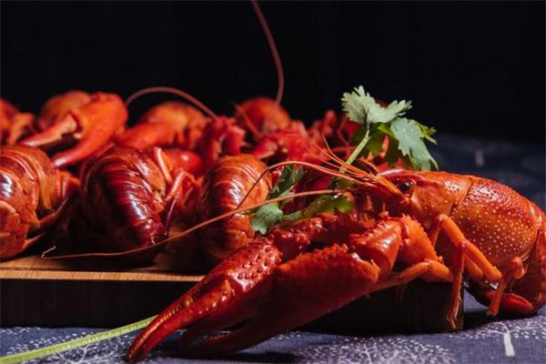 小龍蝦和哈密瓜能一起吃嗎 一起吃了怎么辦 小龍蝦和哈密瓜能一起吃嗎 一起吃了怎么辦