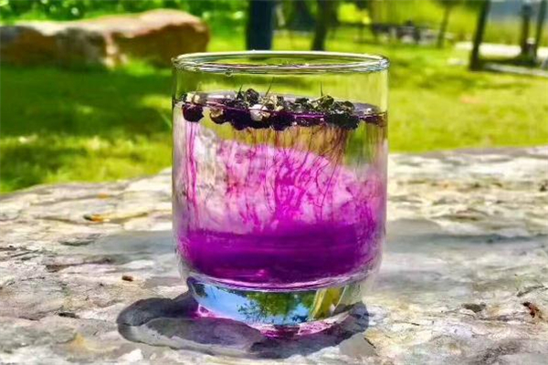 黑枸杞不適合什么人喝 黑枸杞不適合哪些人吃 黑枸杞不適合什么人喝 黑枸杞不適合哪些人吃