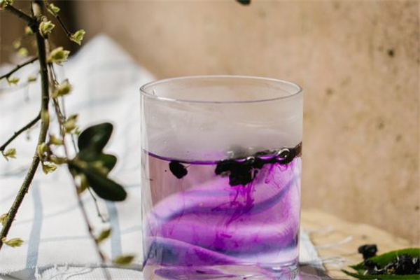 黑枸杞不適合什么人喝 黑枸杞不適合哪些人吃 黑枸杞不適合什么人喝 黑枸杞不適合哪些人吃