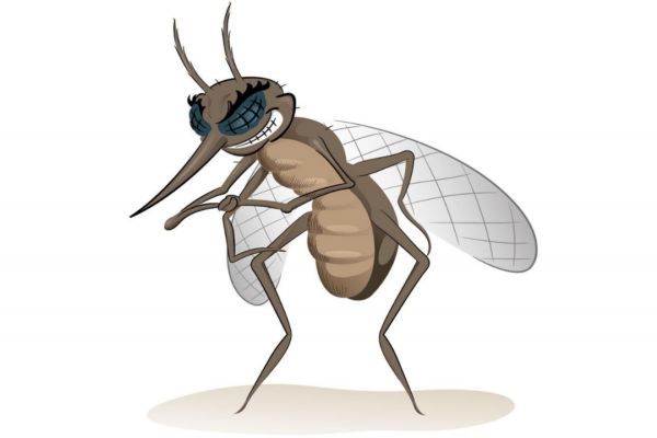 被蚊子咬后為什么會(huì)癢 夏季驅(qū)蚊小妙方 被蚊子咬后為什么會(huì)癢 夏季驅(qū)蚊小妙方