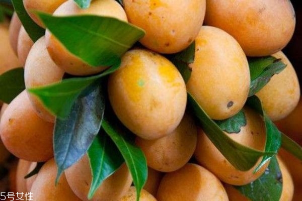 枇杷變黑了怎么回事 教你正確保存不變黑 枇杷變黑了怎么回事 教你正確保存不變黑