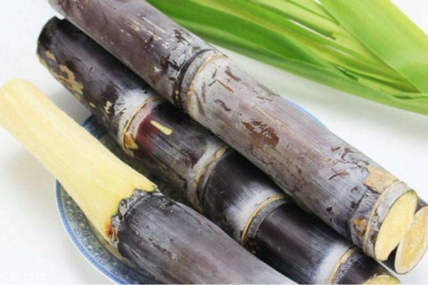 多吃甘蔗有什么好處 長(zhǎng)期吃甘蔗的功效