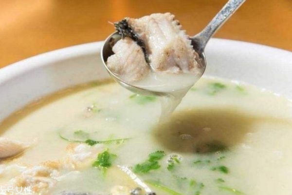 魚(yú)湯為什么是白色的 有的魚(yú)湯為什么不白