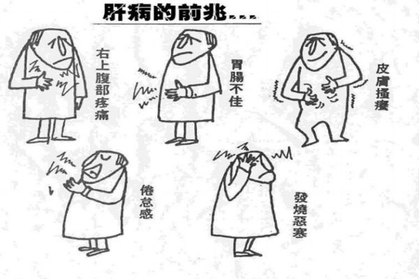 為什么會(huì)得乙肝 得乙肝的癥狀有什么 為什么會(huì)得乙肝 得乙肝的癥狀有什么