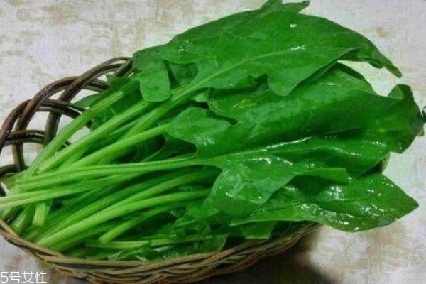 菠菜有什么功效 菠菜的營養(yǎng)價(jià)值是什么