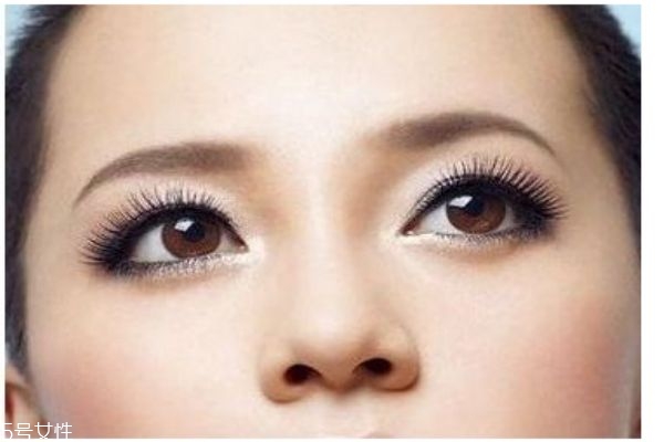 切眉有什么作用 為什么要切眉 切眉有什么作用 為什么要切眉