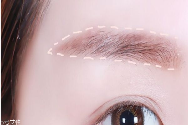 切眉有什么作用 為什么要切眉 切眉有什么作用 為什么要切眉