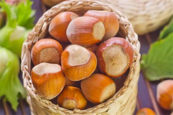 榛子和開心果哪個(gè)熱量高 榛子和開心果哪個(gè)減肥 榛子和開心果哪個(gè)熱量高 榛子和開心果哪個(gè)減肥