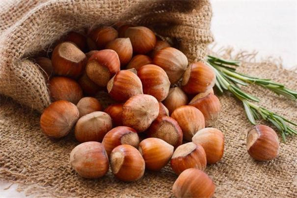 榛子和開心果哪個(gè)熱量高 榛子和開心果哪個(gè)減肥 榛子和開心果哪個(gè)熱量高 榛子和開心果哪個(gè)減肥