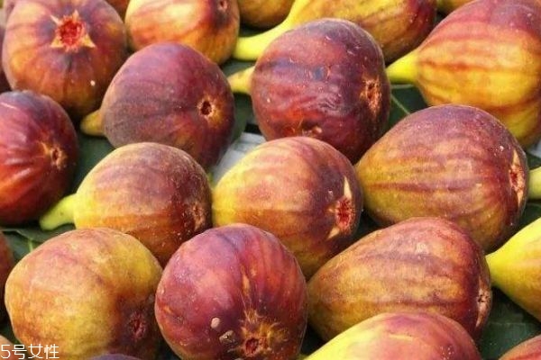 什么是無(wú)花果呢 無(wú)花果有什么功效呢 什么是無(wú)花果呢 無(wú)花果有什么功效呢