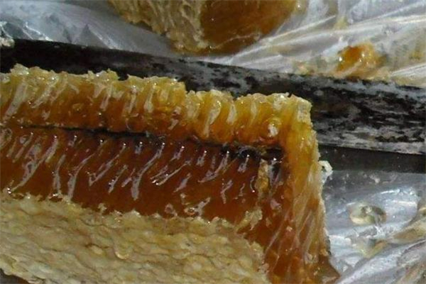 蜂巢蜜怎么吃 蜂巢蜜可以直接吃嗎 蜂巢蜜怎么吃 蜂巢蜜可以直接吃嗎