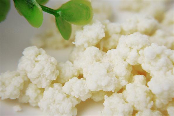 雪蓮菌泡牛奶能減肥嗎 喝雪蓮菌泡牛奶會(huì)胖嗎