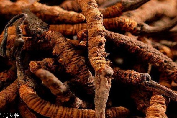 什么是冬蟲(chóng)夏草呢 冬蟲(chóng)夏草有什么作用呢