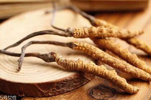 冬蟲夏草生在在哪里呢 冬蟲夏草的市場價格是多少呢 冬蟲夏草生在在哪里呢 冬蟲夏草的市場價格是多少呢