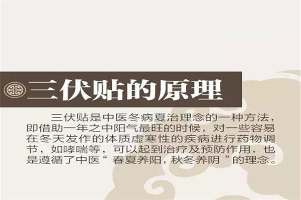 三伏貼貼在什么穴位 三伏貼可以自己貼嗎 三伏貼貼在什么穴位 三伏貼可以自己貼嗎