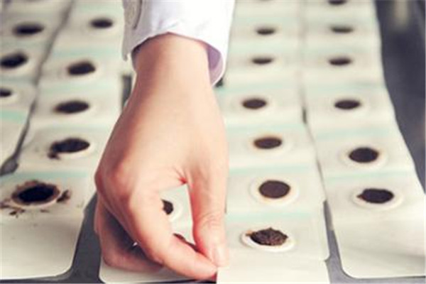 三伏貼起泡很癢怎么辦 需要注意處理方法 三伏貼起泡很癢怎么辦 需要注意處理方法