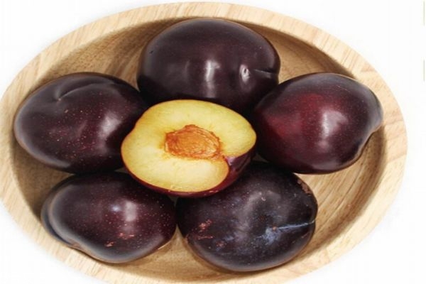 什么是雙華李 雙華李有什么功效呢 什么是雙華李 雙華李有什么功效呢